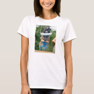 Belgian Malinois Dock Diving shirt