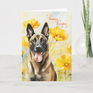 Belgian Malinois Dog Golden Poppies Get Well Card