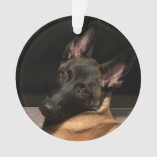 Belgian Malinois Dog Ornament