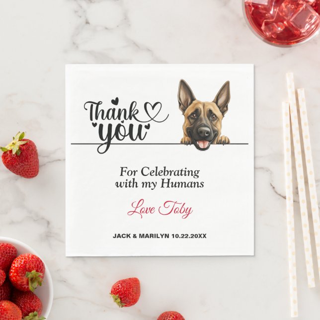 Belgian Malinois Dog Wedding Cocktail Napkin (Insitu)