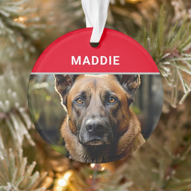 Belgian Malinois Dog's Name and Photo Christmas Ornament (Tree)