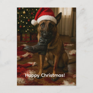 Belgian Malinois Eaten Santa Christmas postcard