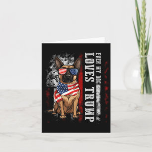 Belgian Malinois Even My Dog Loves Trump Funny  Card