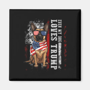 Belgian Malinois Even My Dog Loves Trump Funny Magnet