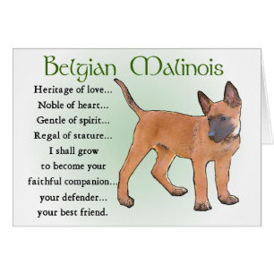 Belgian Malinois Gifts