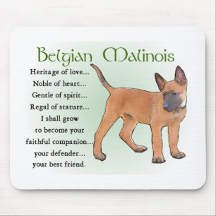 Belgian Malinois Gifts Mouse Mat