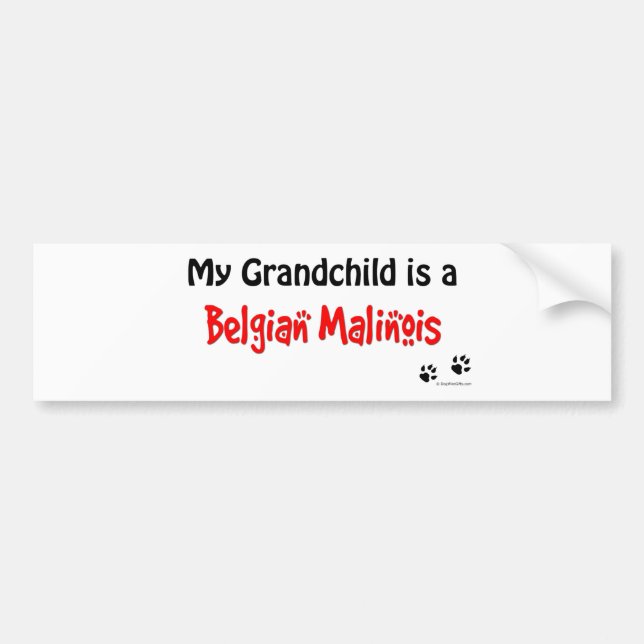 Belgian Malinois Grandchild Bumper Sticker (Front)