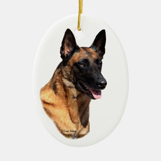 Belgian Malinois head Ornament (Front)