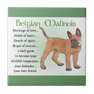 Belgian Malinois Heritage of Love Tile