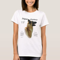 Belgian Malinois History; All about Malinois