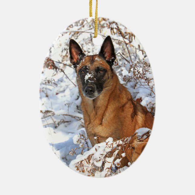 Belgian Malinois in snow ornament (Back)