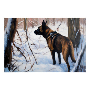 Belgian Malinois Let It Snow Christmas Poster