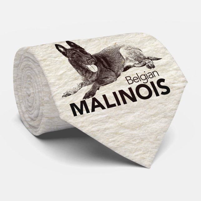 Belgian Malinois - Mechelaar  - Maligator Tie (Rolled)