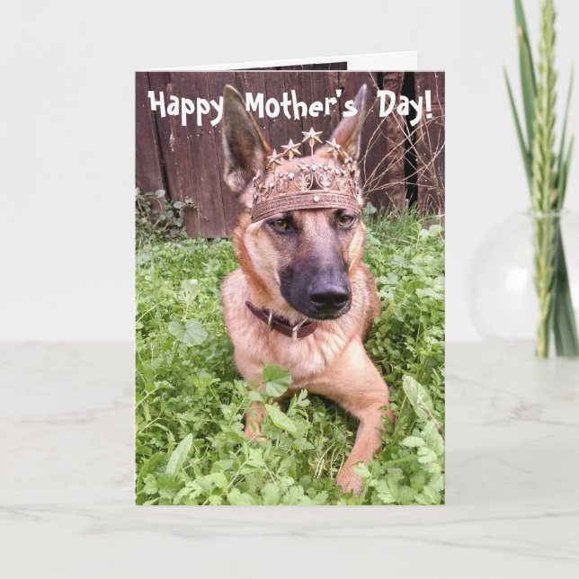Belgian Malinois Mother's Day Card (Front)