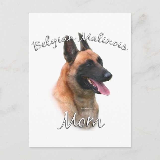 Belgian Malinois Mum 2 Postcard (Front)