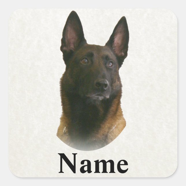 belgian malinois name square sticker (Front)