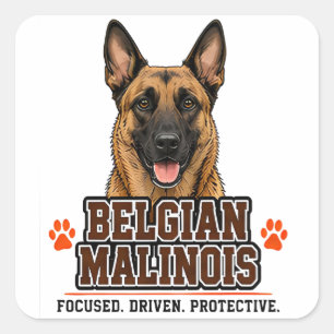 🐾 Belgian Malinois Owner Family Pride 🐾 Square Sticker