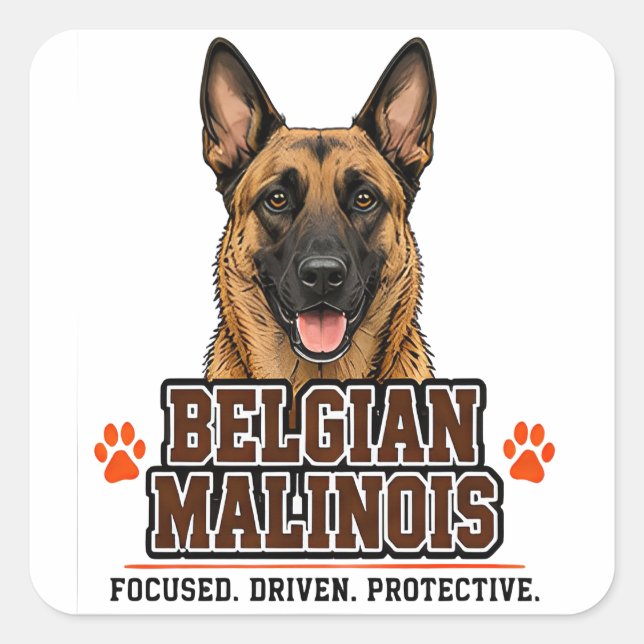 🐾 Belgian Malinois Owner Family Pride 🐾 Square Sticker (Front)