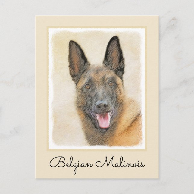 Belgian Malinois Painting - Cute Original Dog Art Postcard (Front)