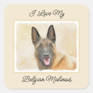 Belgian Malinois Painting - Cute Original Dog Art Square Sticker