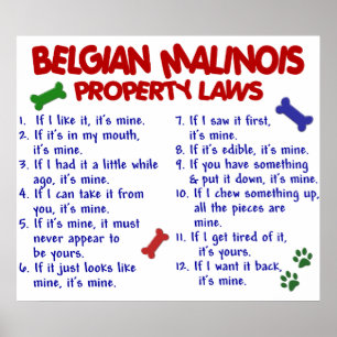 BELGIAN MALINOIS PL2 POSTER