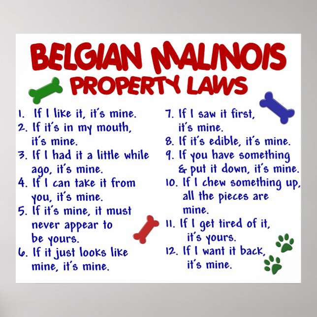 BELGIAN MALINOIS PL2 POSTER (Front)
