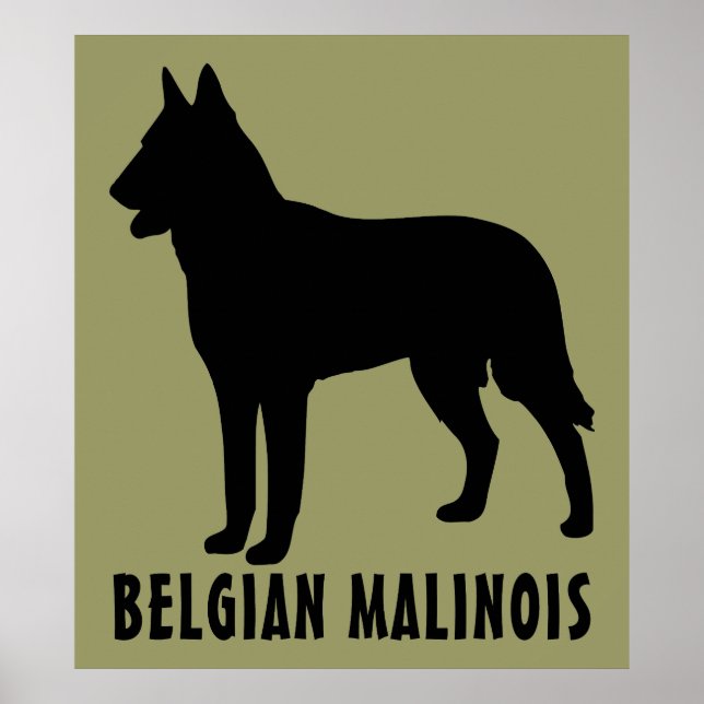 Belgian Malinois Poster (Front)