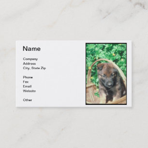 Belgian Malinois Puppy Business Card