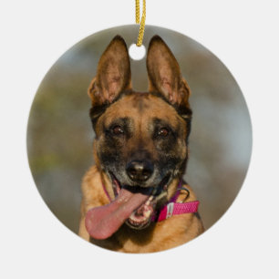 Belgian Malinois Puppy Dog Ceramic Tree Decoration