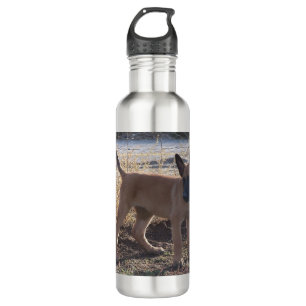 Belgian_Malinois_Puppy full 710 Ml Water Bottle