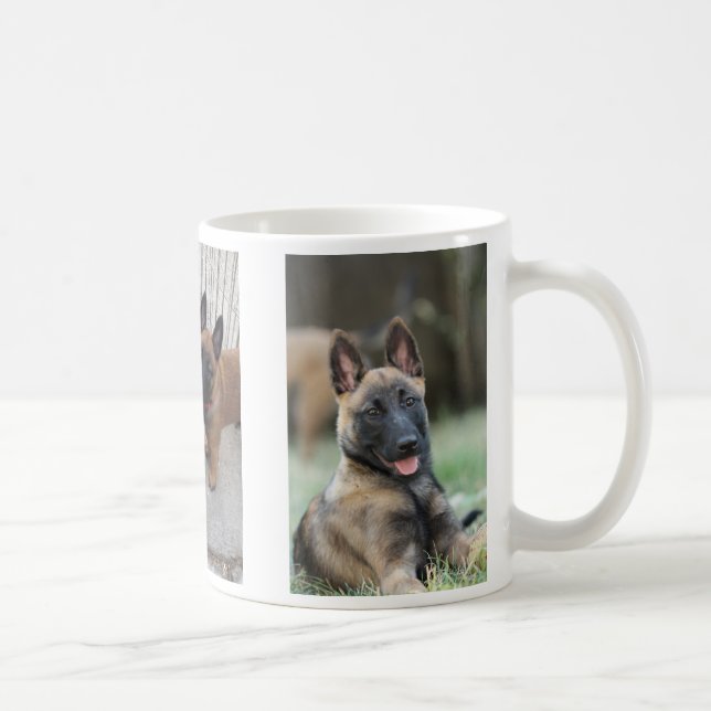 Belgian Malinois Puppy Mug (Right)