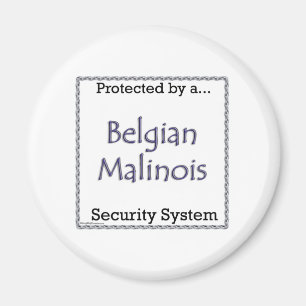 Belgian Malinois Security System - Magnet