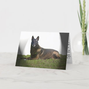 Belgian Malinois Sympathy Card