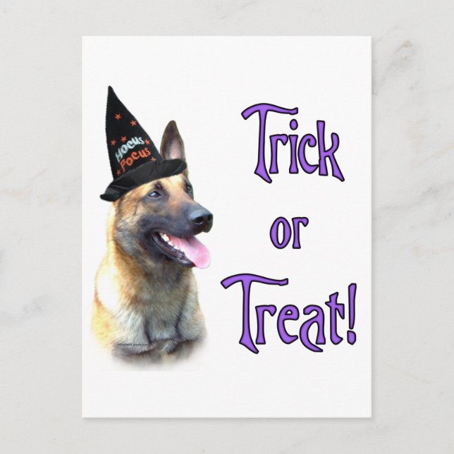 Belgian Malinois Trick Postcard (Front)