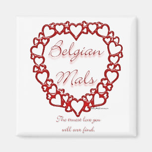 Belgian Malinois True Love; Love Belgian Malinois Magnet