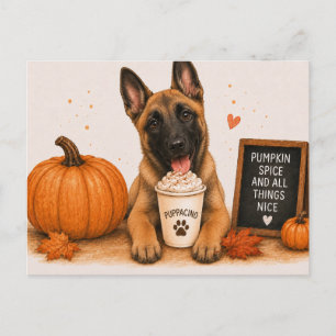 Belgian Malinois Warm Pumpkin Spice Puppaccino Postcard