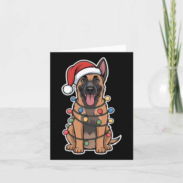 Belgian Malinois Wrapped In Christmas Lights  Card (Front)