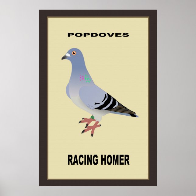 Belgian Racing Homer Poster (Front)