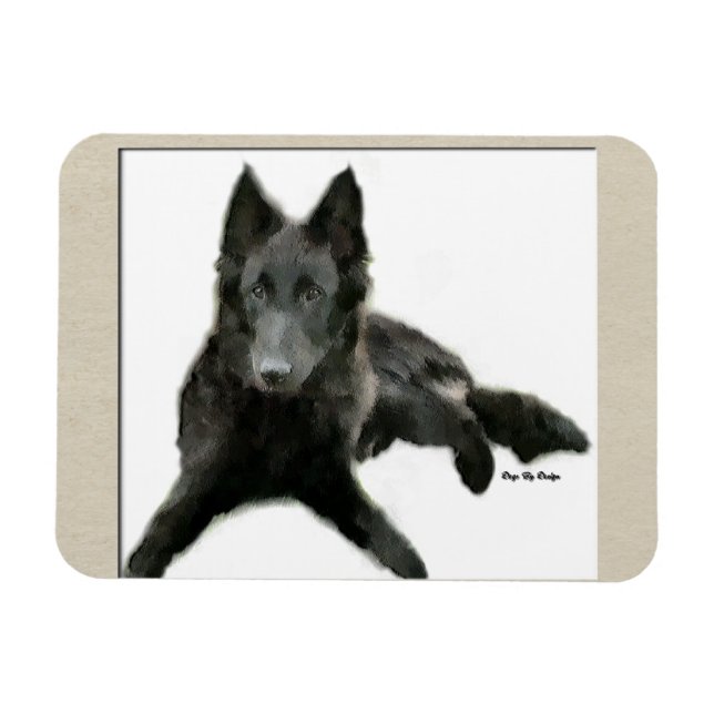 Belgian Sheepdog Art Magnet (Horizontal)