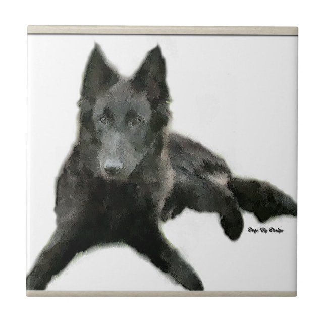 Belgian Sheepdog Art Tile (Front)