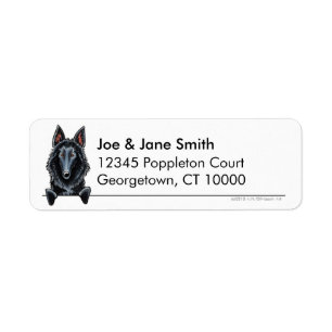 Belgian Sheepdog Clean & Simple