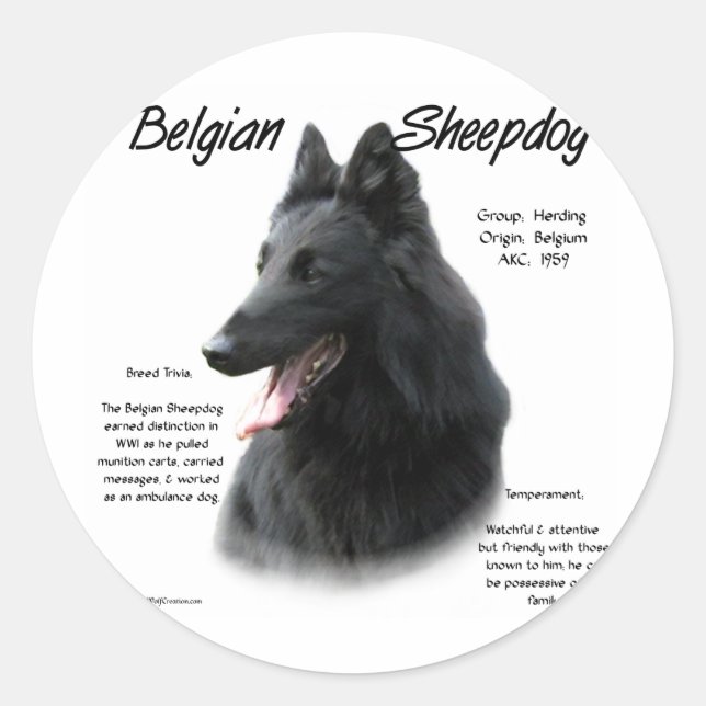 Belgian Sheepdog History; All About Sheepdogs Classic Round Sticker (Front)