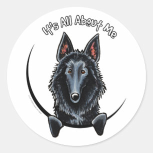Belgian Sheepdog IAAM Classic Round Sticker