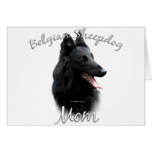 Belgian Sheepdog Mum 2