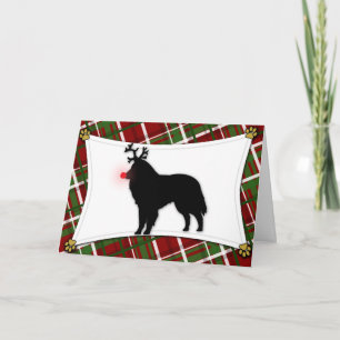 Belgian Sheepdog Reindeer Christmas Card