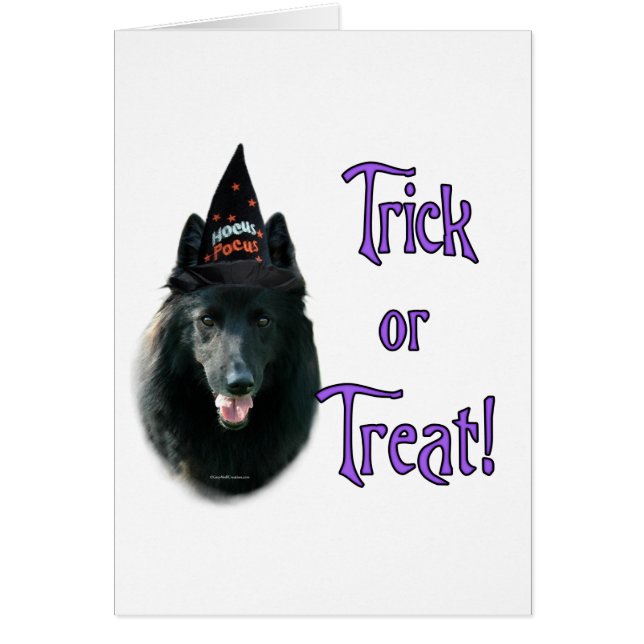 Belgian Sheepdog Trick (Front)