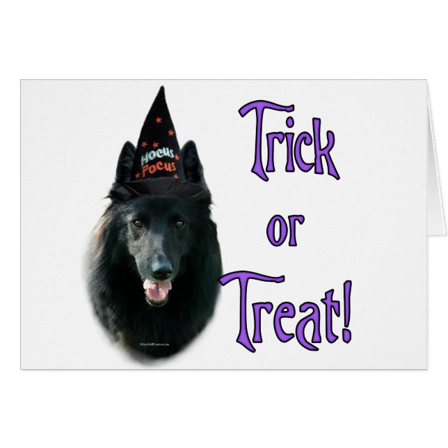 Belgian Sheepdog Trick (Front Horizontal)