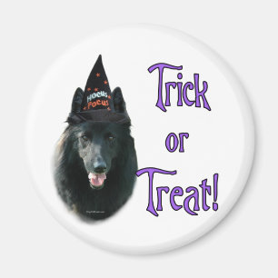 Belgian Sheepdog Trick Magnet