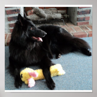 Belgian Shepherd by the Fireplace Poster