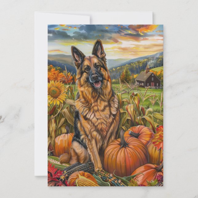 Belgian Shepherd Dog Autumn Harvest Thanksgiving Holiday Card (Front)
